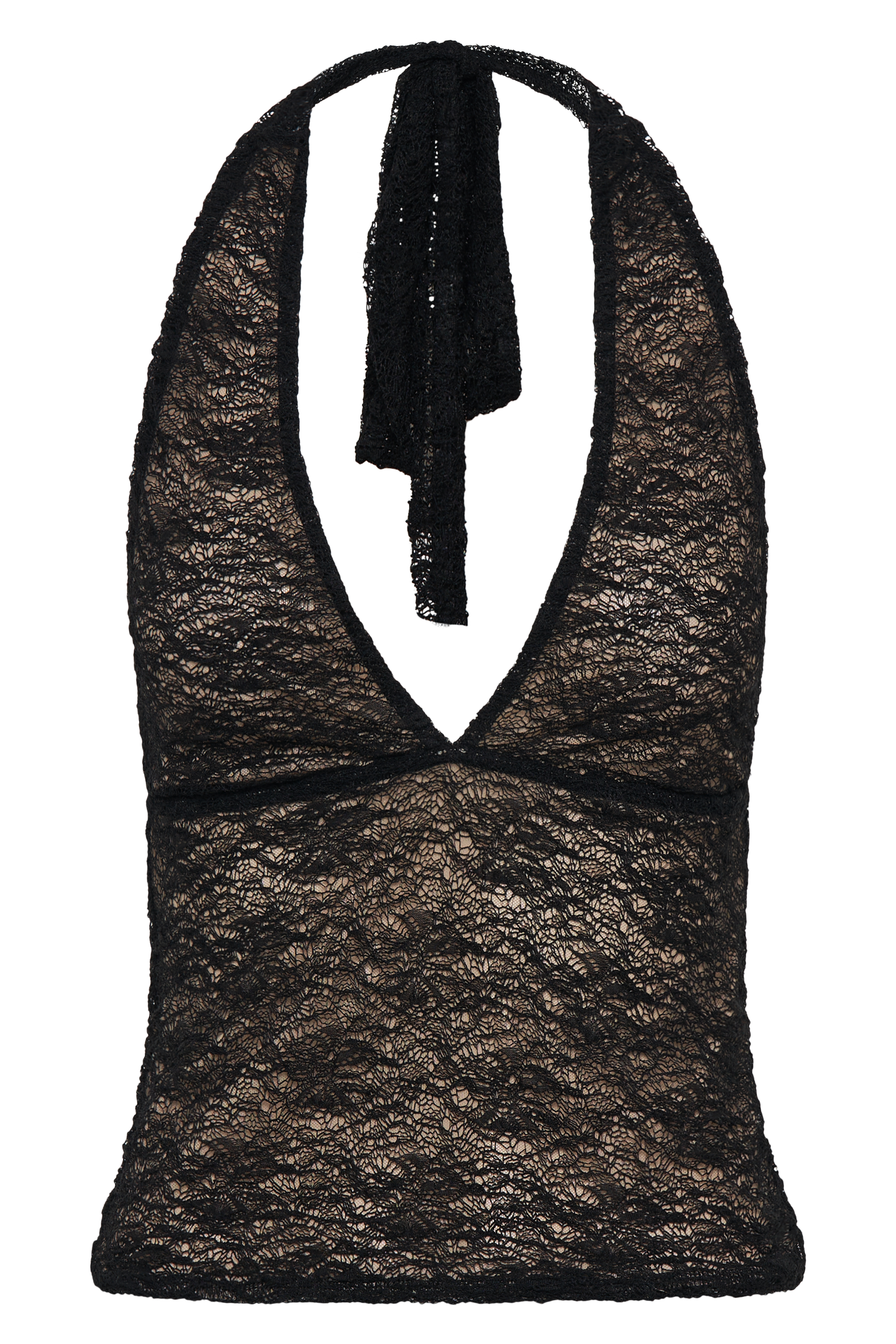 Asher Sheer Lace Halter Top - Black